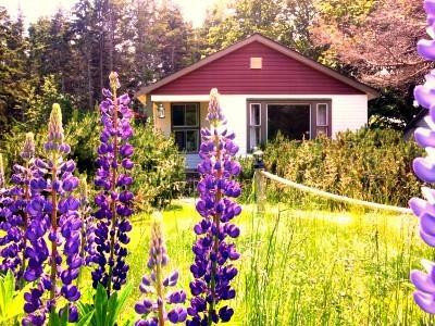 Goodview Cottages By Stanhope Beach Pei For Adults Only Eksteriør bilde