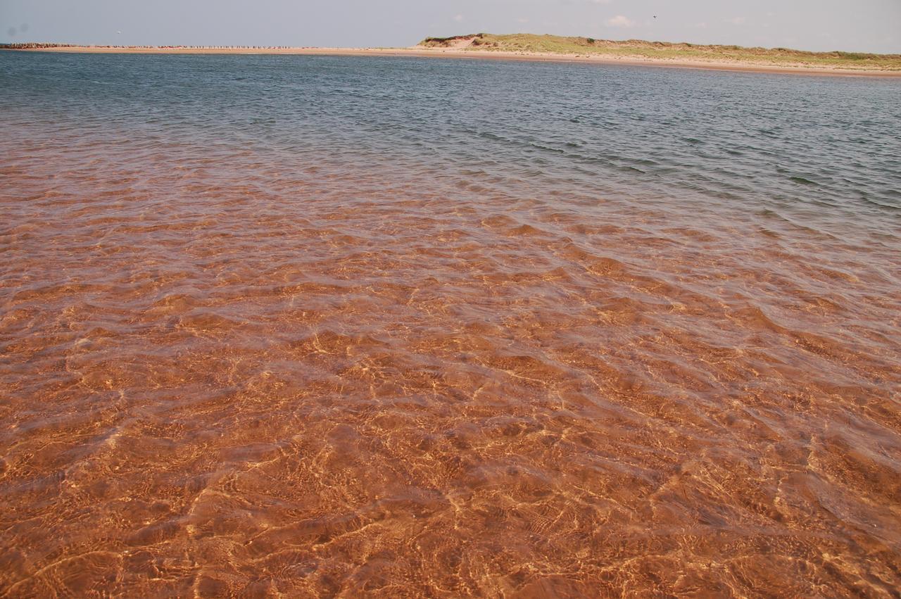 Goodview Cottages By Stanhope Beach Pei For Adults Only Eksteriør bilde