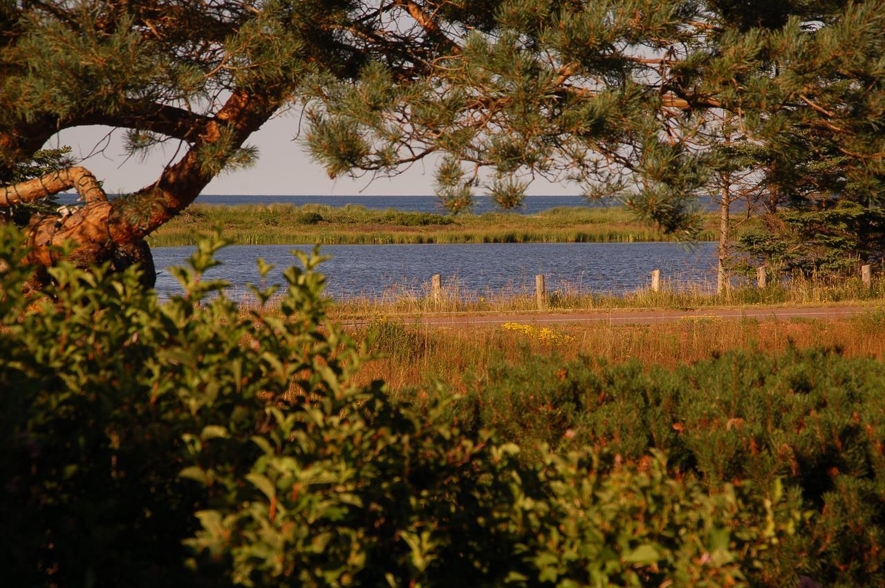 Goodview Cottages By Stanhope Beach Pei For Adults Only Eksteriør bilde