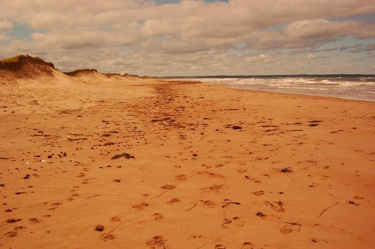 Goodview Cottages By Stanhope Beach Pei For Adults Only Eksteriør bilde